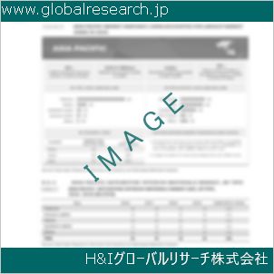 グローバルリサーチ調査資料のイメージ